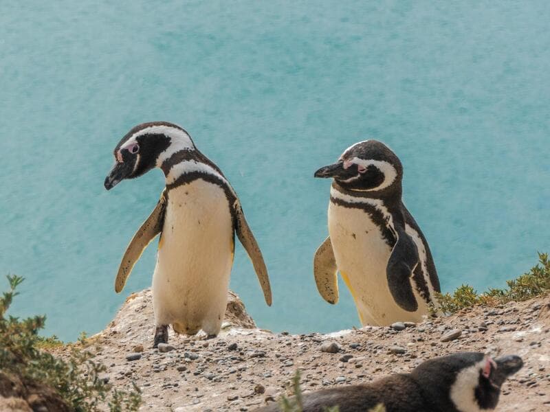 Majestic Princess#°#Fairfield Inn by Marriott Miami Airport, Miami
