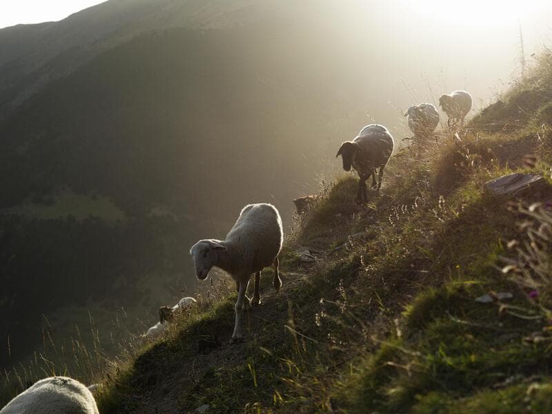 Hotel Patagonia, Arinsal