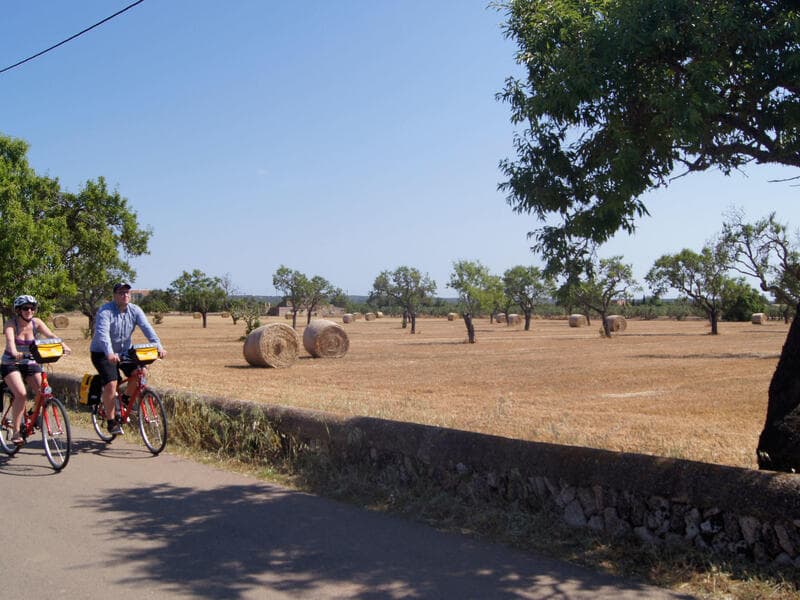 Hotel BG Java, Can Pastilla