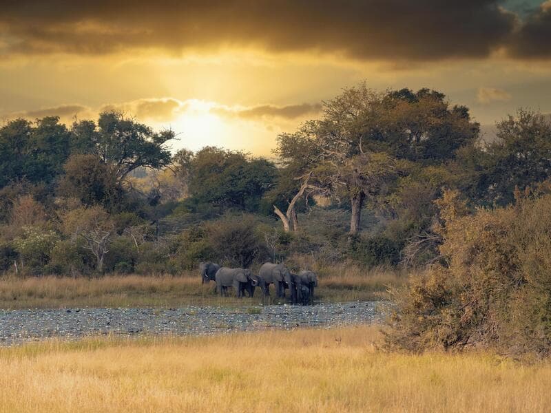 Rundreisen Namibia, Botswana & Simbabwe: Safariwelten und Naturwunder des südlichen Afrikas