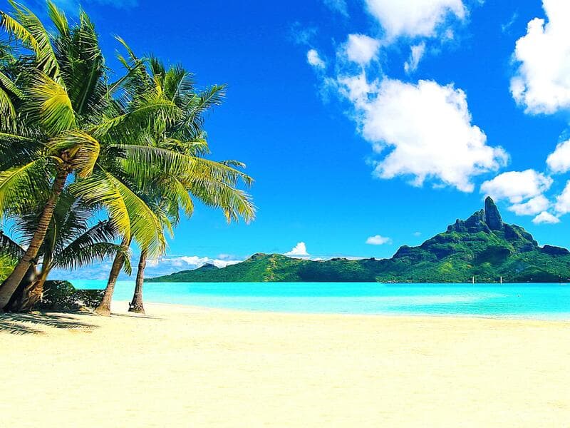 Quantum of the Seas#°#Ibis Styles Central, Sydney#°#Holiday Inn Express Brisbane Central, Brisbane#°#Embassy Suites by Hilton Seattle Tacoma International Airport, Seattle