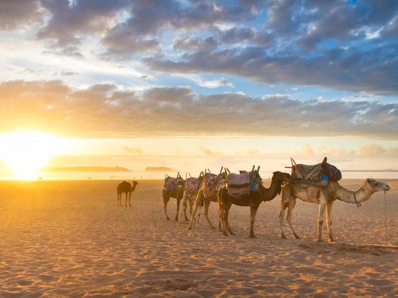 Rundreisen Marokko: Königsstädte und Wüstenzauber