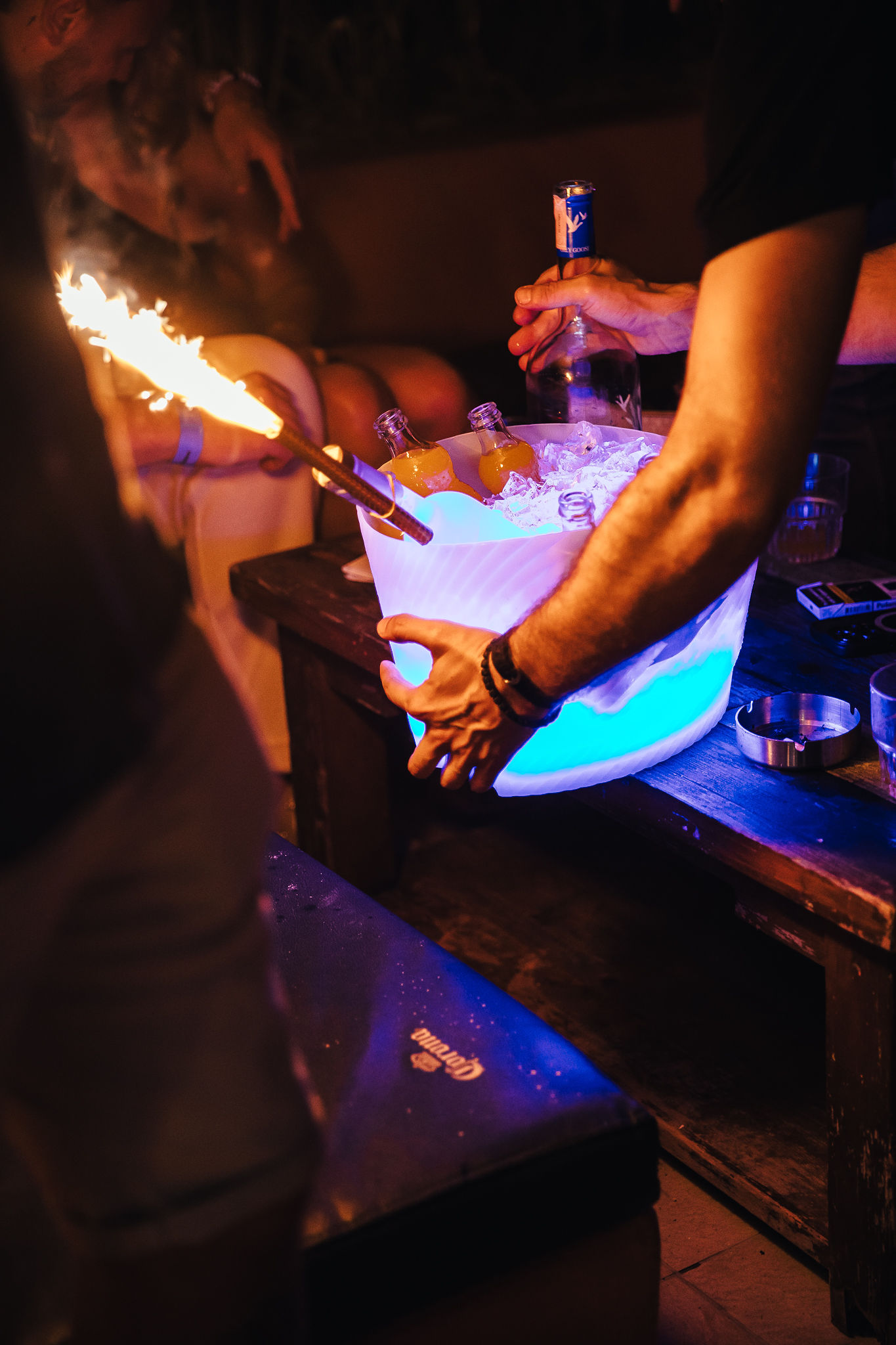 Wild & Free Summer Editon 2