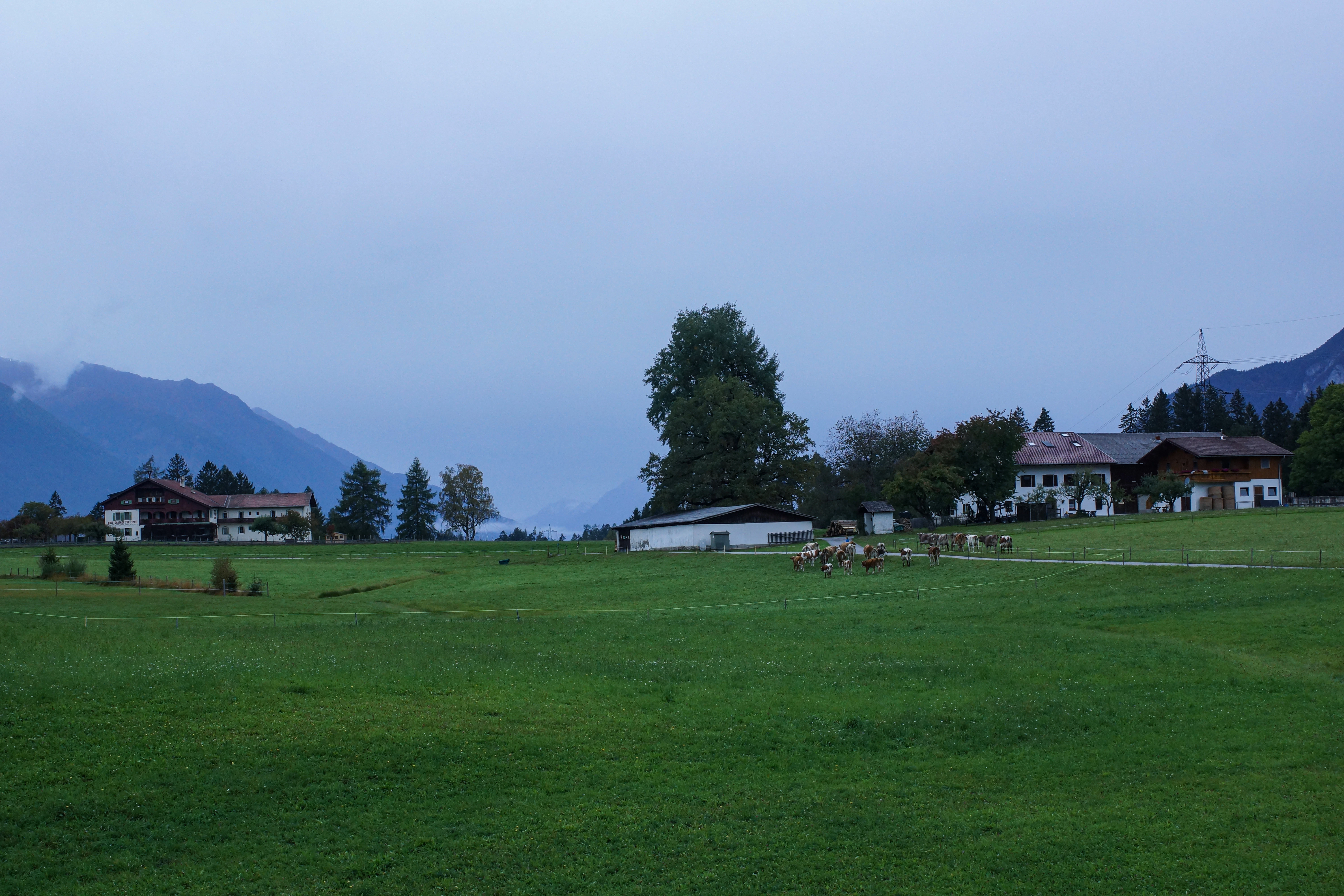 a large green field with buildings and trees in the background