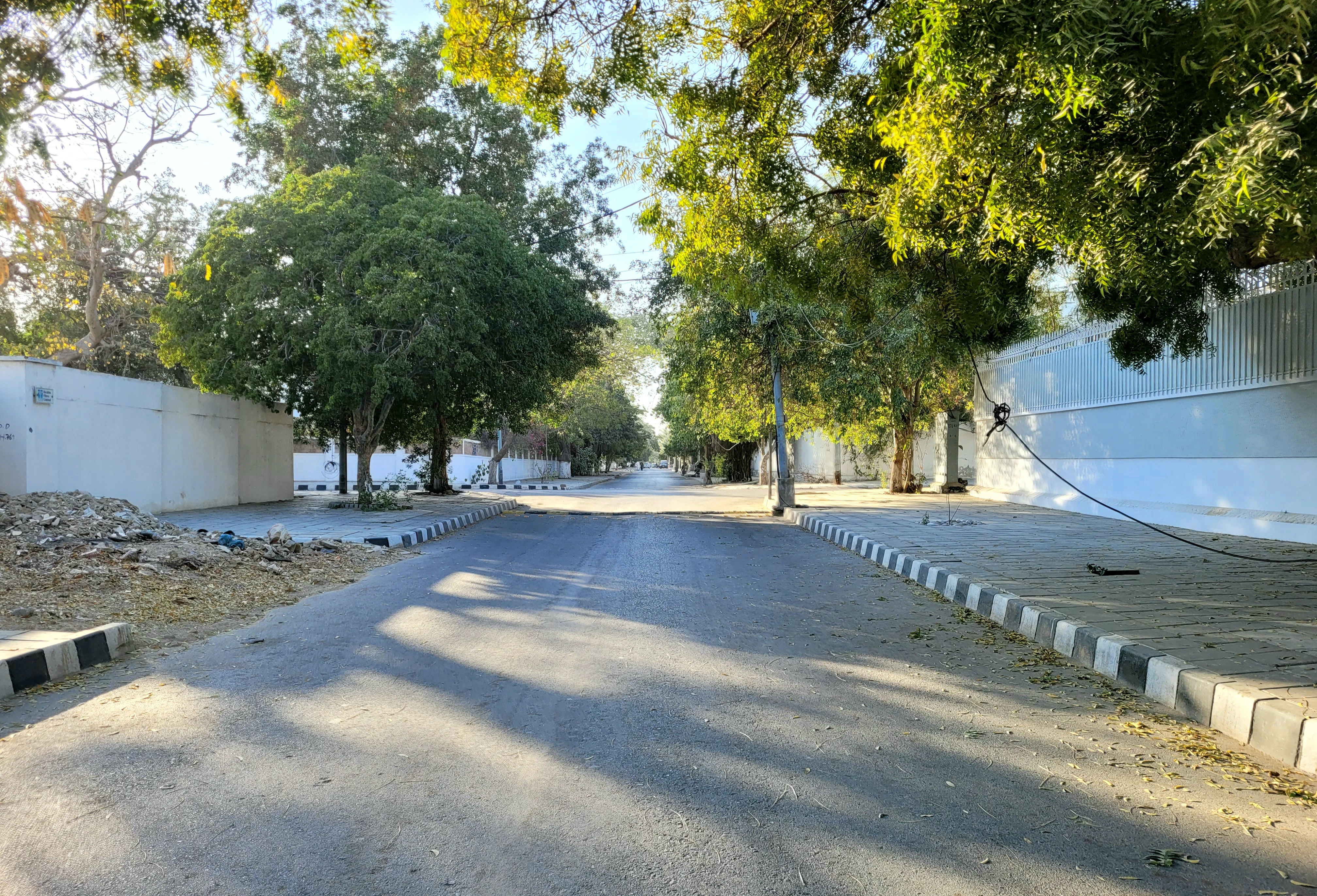 A street with a bunch of trees on the side of it
